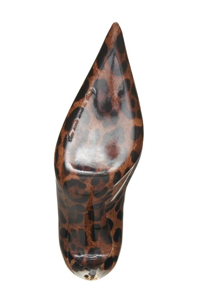 Shop Dolce & Gabbana Lollo Pointed Toe Pump In Brown Print Leopard