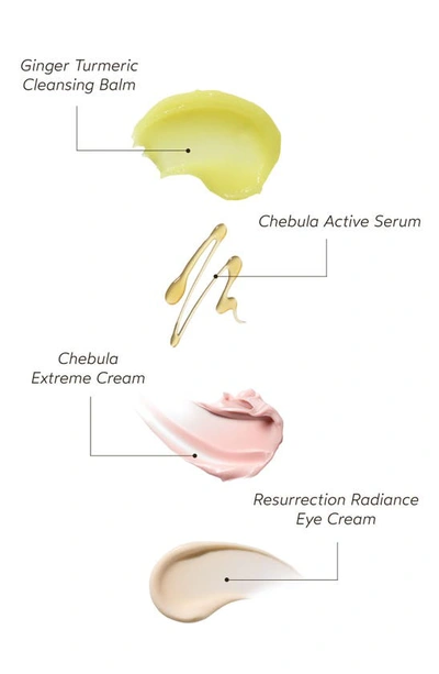 True Botanicals Anti-aging Bestseller Set (limited Edition) (nordstrom Exclusive) $130 Value