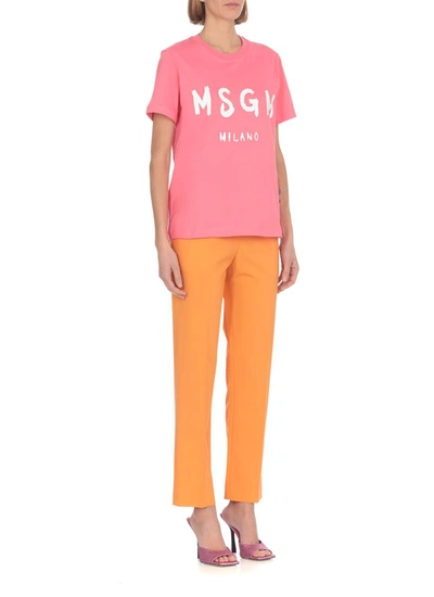 Shop Msgm Trousers In Melone
