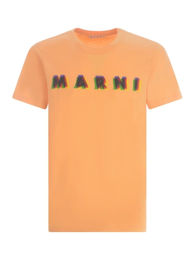 Shop Marni T-shirts And Polos Orange