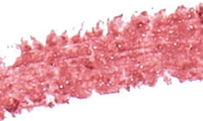 Monika Blunder Hot Line Lip Liner In Davy