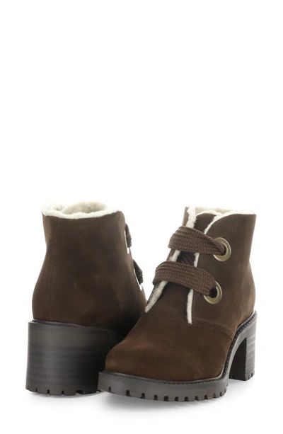 Shop Bos. & Co. Index Leather Ankle Boot In Coffee Suede/ Mini