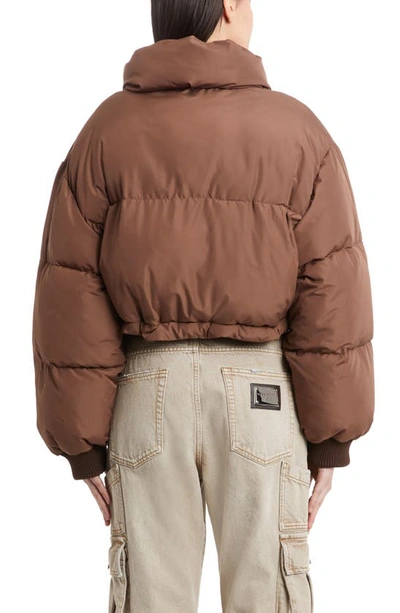 Shop Dolce & Gabbana Logo Patch Stand Collar Crop Puffer Jacket In Brown