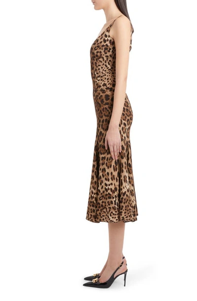 Dolce & Gabbana Leopard-print Calf-length Cady Dress In Brown