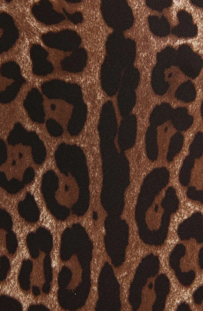 Shop Dolce & Gabbana Leopard Print Cady Fit & Flare Dress In Light Brown Print