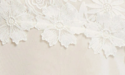 Rya Collection Beloved Lace Trim Chiffon Chemise In Ivory