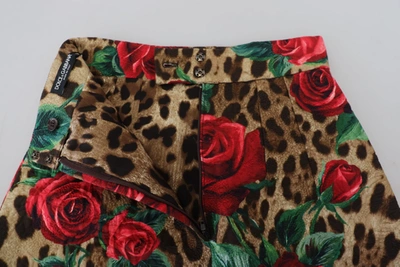 Shop Dolce & Gabbana Brown Cotton Leopard Rose Print Mini Women's Skirt