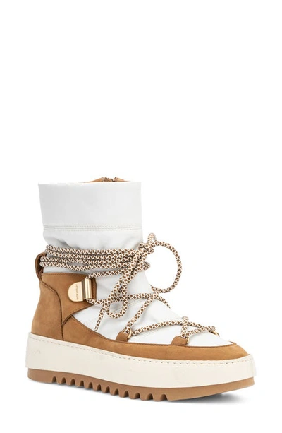 Shop Aquatalia Amalia Boot In Off White/ Honey