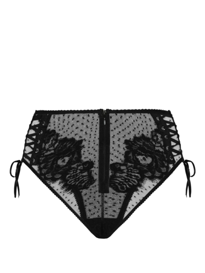 Shop Dolce & Gabbana Lace-detailing Sheer Briefs In Black