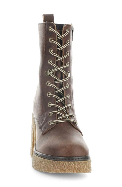 Shop Bos. & Co. Panda Waterproof Lace-up Boot In Brandy Gobi