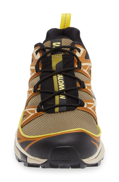 Shop Salomon Gender Inclusive Xt-6 Expanse Sneaker In Cathay Spice/ Lzrd/ Bttrcup