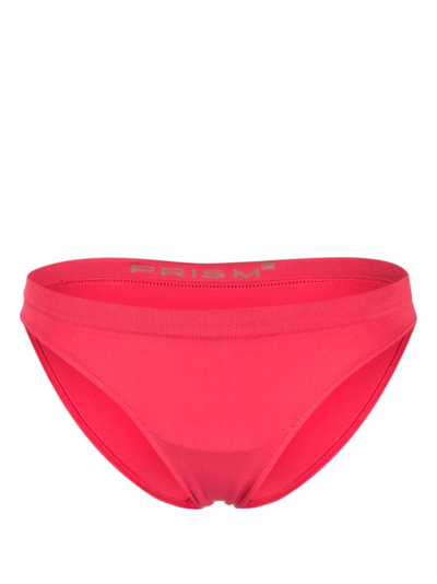 Shop Prism Evolver Bikini Bottom In Pink
