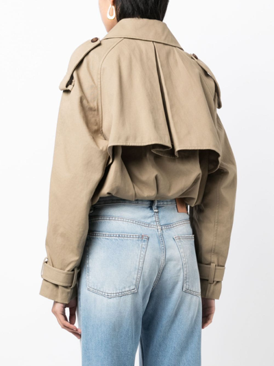 Jnby Cropped Tailored Jacket In Brown