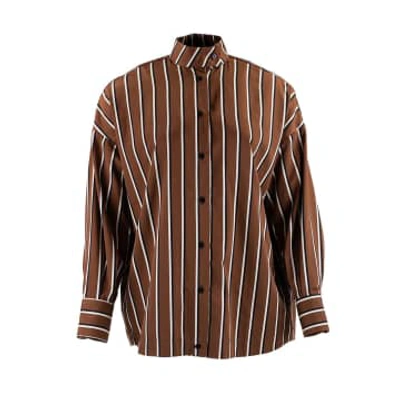 Shop Les Bo-hemiennes Mini Shirt Stripes Brown