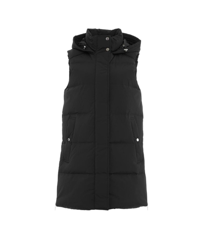 Shop Woolrich Alsea Padded Down Vest In Black