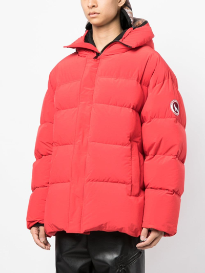 Shop Doublet Padded Animal Motif-hoodie Jacket In Rot