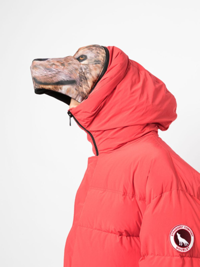 Shop Doublet Padded Animal Motif-hoodie Jacket In Rot