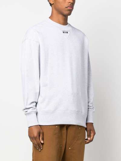 Shop Msgm Logo-print Cotton Sweatshirt In Grau