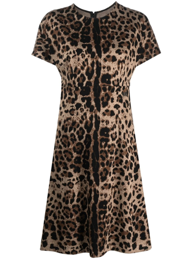 Shop Dolce & Gabbana Leopard-jacquard Short-sleeved Dress In Brown