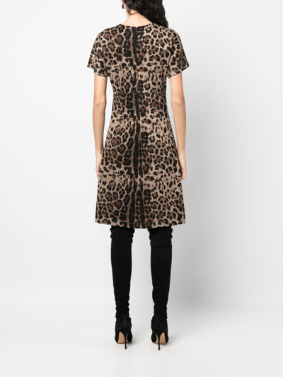 Shop Dolce & Gabbana Leopard-jacquard Short-sleeved Dress In Brown