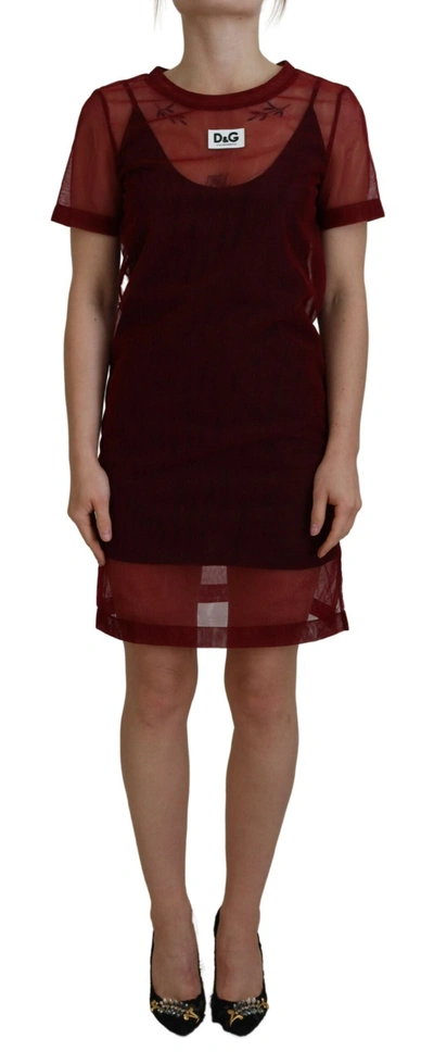 Shop Dolce & Gabbana Maroon Nylon Two Layer Shift Mini Women's Dress