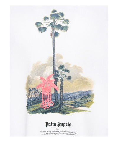 Shop Palm Angels Hoodie In White