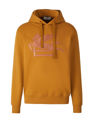Shop Etro Logo Embroidered Drawstring Hoodie In Brown