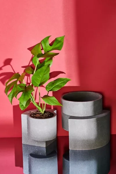 Tortuga Forma Concrete Terrazzo Planter - Set Of 2 In Graphite At Urban Outfitters In Green