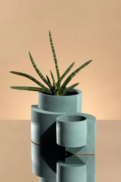 Tortuga Forma Concrete Planter - Set Of 2 In Jungle At Urban Outfitters In Green