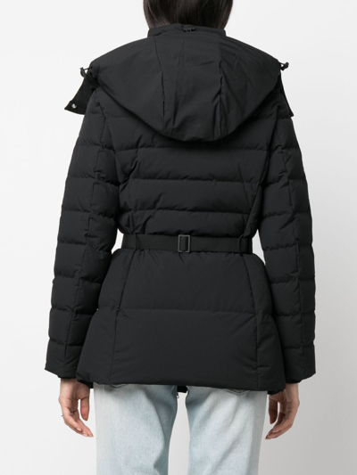 Shop Burberry Belted Hooded Padded Jacket In Schwarz
