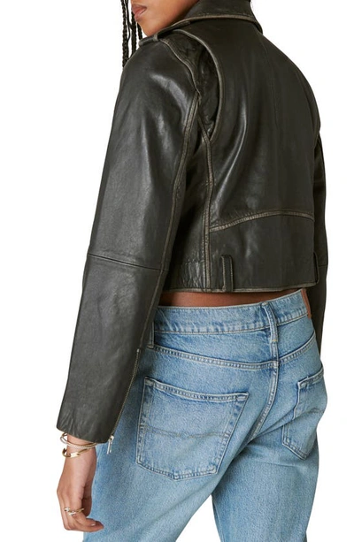 Shop Lucky Brand Distressed Crop Leather Moto Jacket In Washed Black