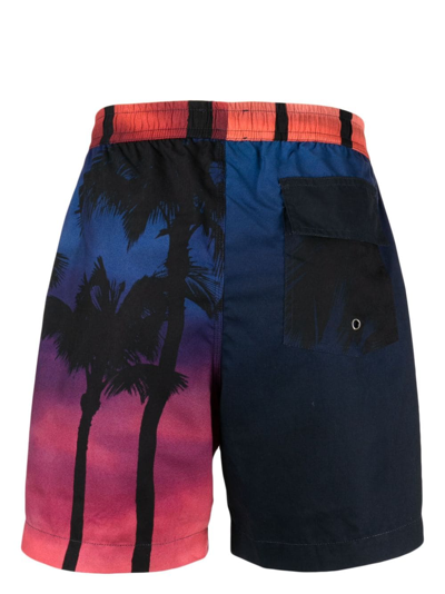 Blue Sky Inn Palm-tree Print Shorts In Blue