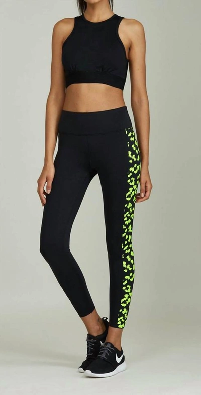 Noli Neon Leopard Legging In Black In Black