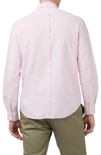 Shop Ben Sherman Signature Organic Cotton Oxford Button-down Shirt In Light Pink