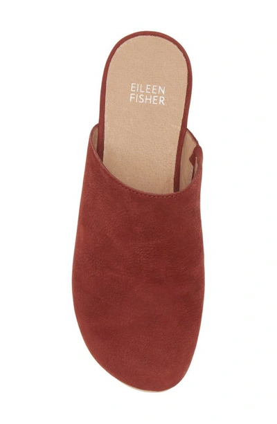 Shop Eileen Fisher Sport Mule In Red Cedar