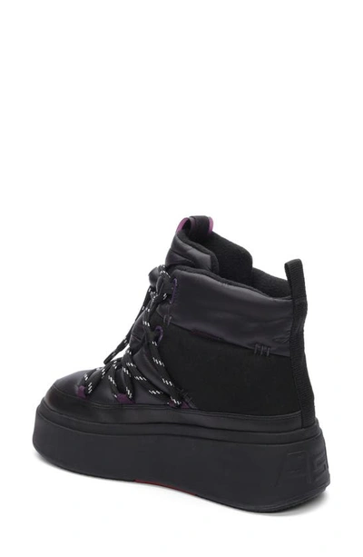 Shop Ash Montana Platform Sneaker In Black/ Plum