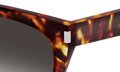 Shop Saint Laurent 56mm Rectangular Sunglasses In Havana