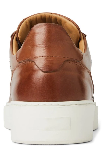 Shop Bruno Magli Dezi Leather Sneaker In Cognac