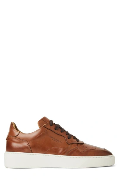 Shop Bruno Magli Dezi Leather Sneaker In Cognac