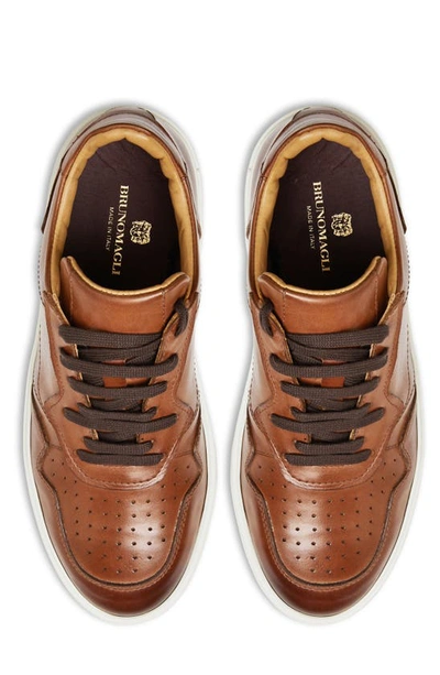 Shop Bruno Magli Dezi Leather Sneaker In Cognac