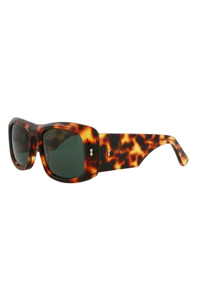 Shop Gucci 56mm Oversize Sunglasses In Havana Green