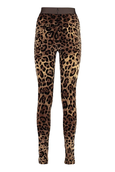 Shop Dolce & Gabbana Jersey Leggings In Beige