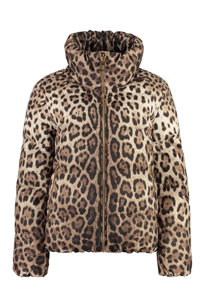 Shop Dolce & Gabbana Leopard Print Short Down Jacket In Beige