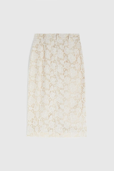 Shop Rochas Pencil Skirt In Embroidery In White