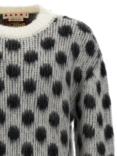 Shop Marni Polka Dot Sweater Sweater, Cardigans White/black