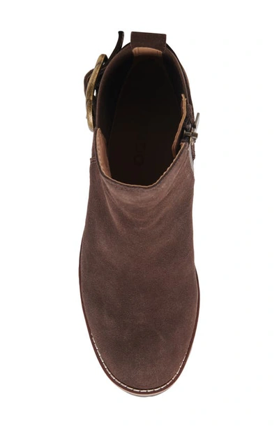 Shop Blondo Dakota Waterproof Bootie In Java Suede