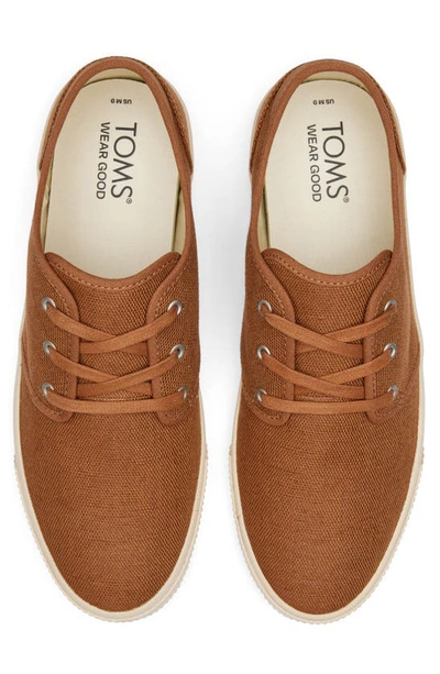 Shop Toms Carlo Sneaker In Brown