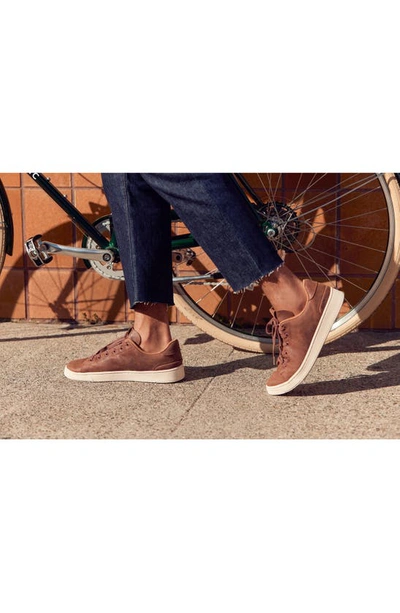 Shop Toms Trvl Lite Sneaker In Brown