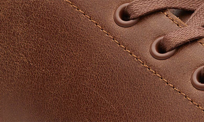 Toms Trvl Lite Sneaker In Brown