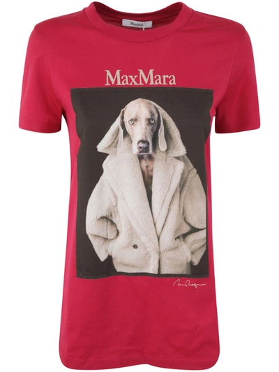 Shop Max Mara Valid T-shirt Clothing In Pink &amp; Purple